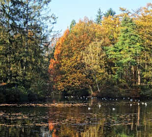 Am See im Bürgerpark Bremerhaven
