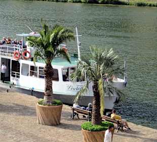 Neckar-Schifffahrt
