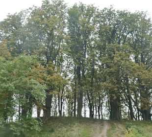 Auf dem Herrenberg bei Castell