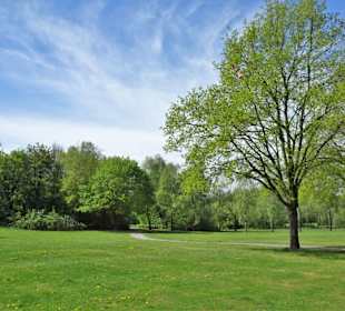 Rundgang durch den Walter-Peters-Park