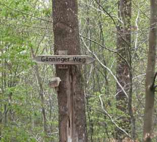 Wanderweg Firstwaldrunde