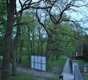 Widok na park.