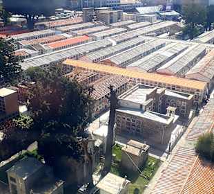 Blick auf den Friedhof