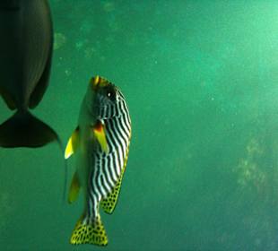 Ausflugstipp Klimahaus Bremerhaven