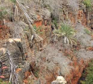 Unter de Felsen befindet sich die Höhle