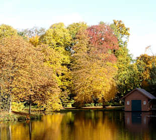 Herbstspaziergang durch den Bürgerpark Bremen