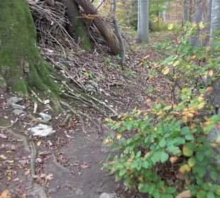 Wandern um die Rauber Ruine