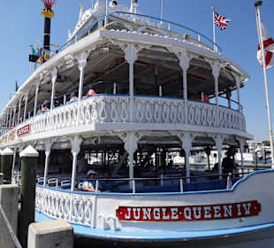 Jungle Queen