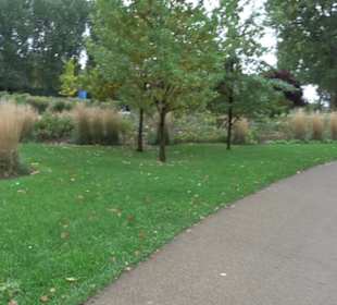 Rosengarten