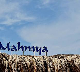 Giftun / Mahmya Inseln