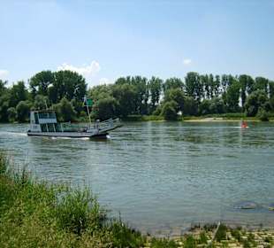Donaufähre