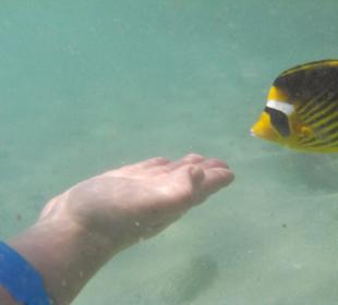 Im Einklang mit der Natur