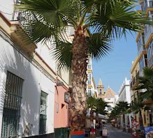 Altstadt von Cádiz