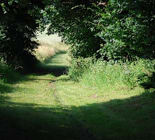 Fussweg zur Burgruine
