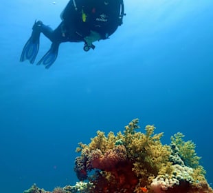 Sharm El Sheikh Montazah Coral Beach Resort