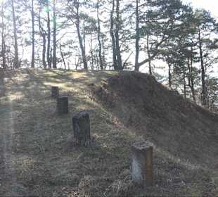 Hirschauer Spitzbergwegle (Premiumspazierwanderweg