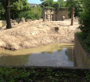 Zoo Heidelberg