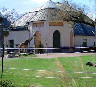 Tierpark Hellabrunn in München