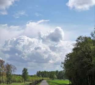 Weg um die Thülsfelder Talsperre