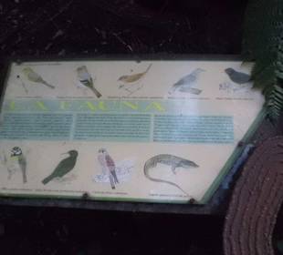 Schautafel über Fauna und Flora