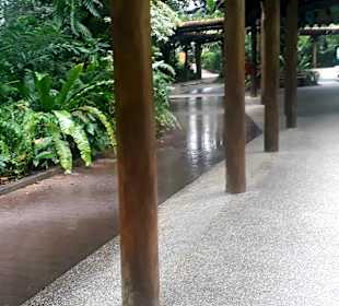 Singapur Zoo