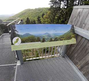 Aussichtsplattform Hermersbergerhof Pfälzerwald