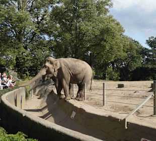 Tierpark Hagenbeck