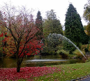 Kurpark- Bad Wildungen