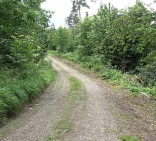 Wanderweg - Alter Steinbruch Pfaffenberg Runde