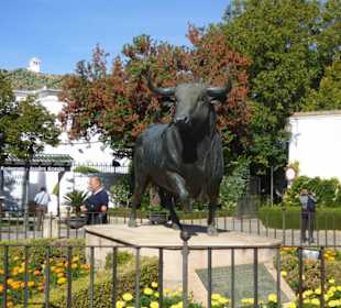 In der Stierkampfarena