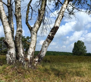 Wandern Bad Bevensen