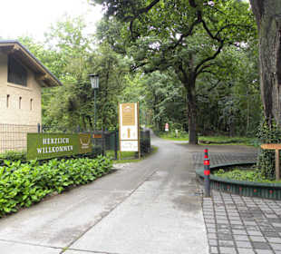 Restaurant Alte Försterei in Potsdam