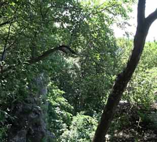 Premiumwanderweg "hochgelegen"