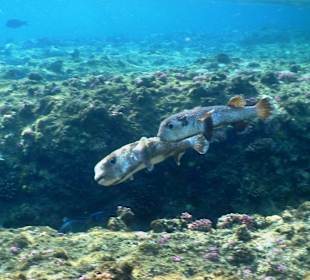 Открытое море, правее от отеля.