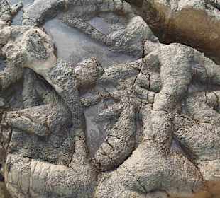 Dino Spuren in Praia da Salema