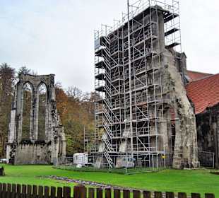 Klosterrunine Walkenried