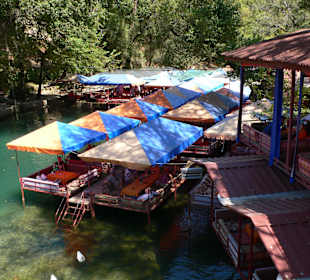 Hier gibt es sehr leckere Forellen