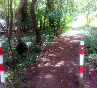 Glan-Blies-Rad- und Wanderweg in Homburg