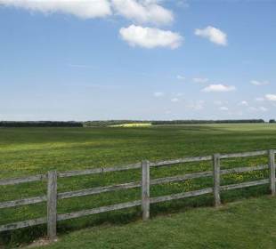 Blick auf die Umgebung