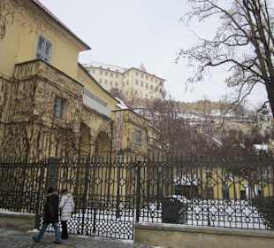 Einblicke auf der Kleinseite