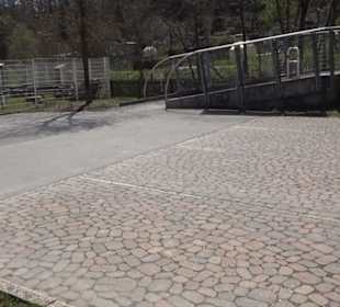 Spazierweg Ritter Museum