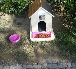 Putzige Katzenunterkunft