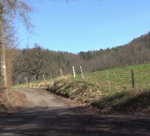 Hirschauer Spitzbergwegle (Premiumspazierwanderweg