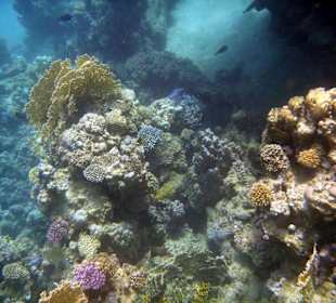 Wir kommen wieder, aber nur noch im Winter