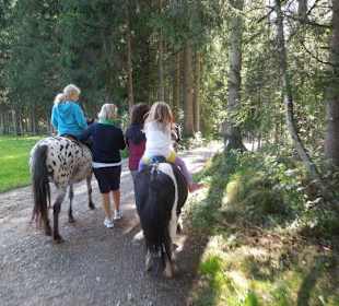 Ponyreiten um Westendorf