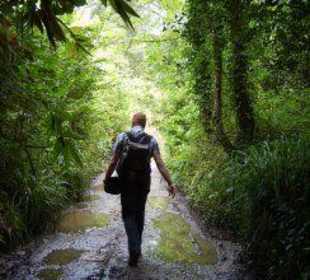 Lost Garden of Heligan - Fussweg