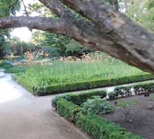 Real Jardín Botánico de Madrid