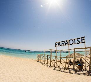 Ausflug auf die Paradiseinsel