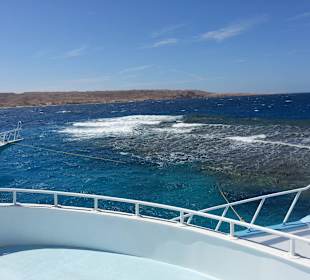 Hier geht's zum Tauchen