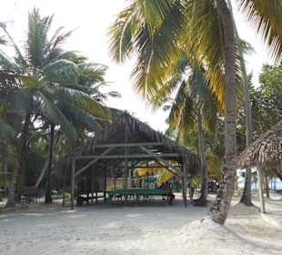 Playa del Gato